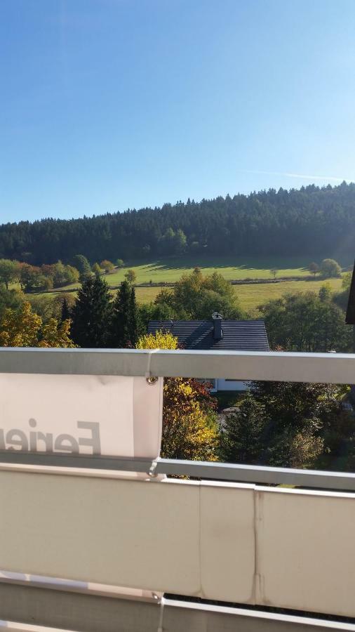 Fewos 4-Jahreszeiten Willingen  Kültér fotó