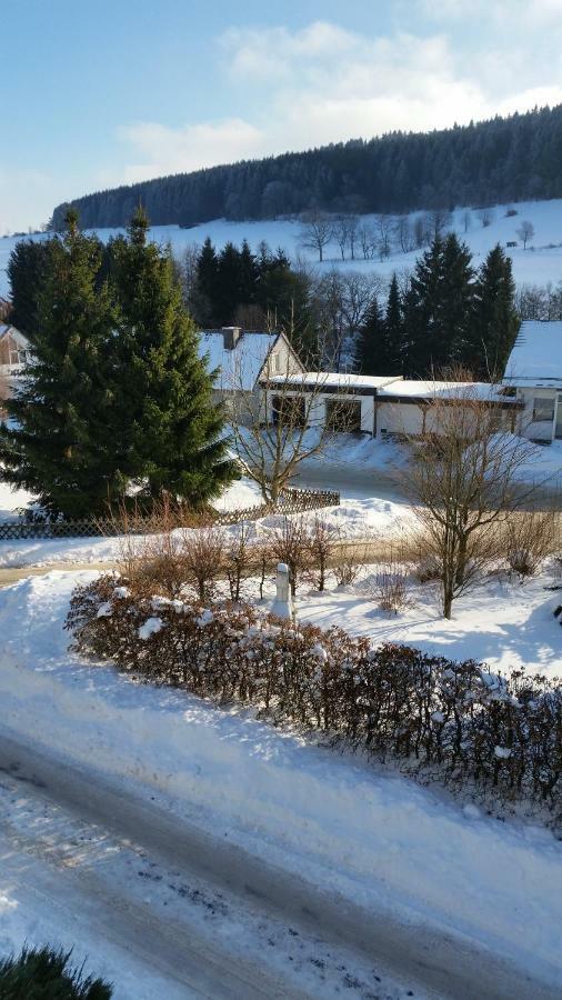 Fewos 4-Jahreszeiten Willingen  Kültér fotó