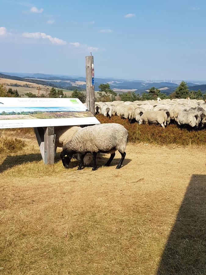 Fewos 4-Jahreszeiten Willingen  Kültér fotó